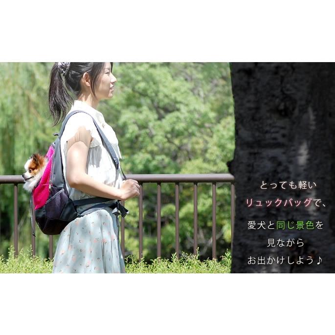 ペットキャリー リュックバッグ　Ｓサイズ　リュック型キャリー |  | 05