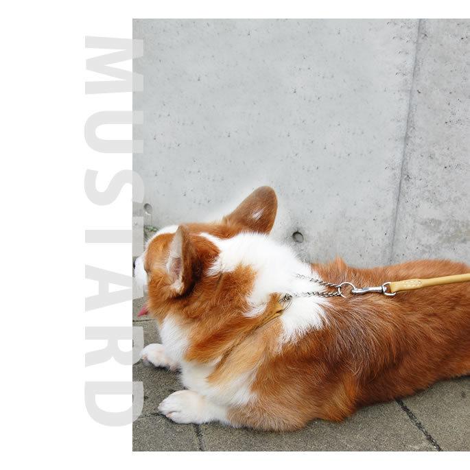 犬 リード 革 レザー ASHU ソフトレザーリード サイズ M 中型犬〜大型犬 ドッグリード | ASHU | 05