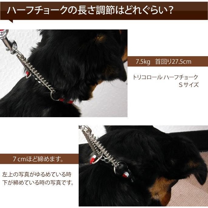 犬 ハーフチョーク しつけ用 革 レザー ASHU*ソフトレザー ハーフチョーク サイズ：ＬＬ | ASHU | 10