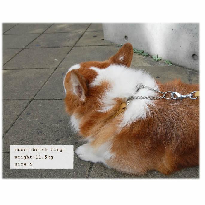 犬 ハーフチョーク しつけ用 革 レザー ASHU*ソフトレザー ハーフチョーク サイズ：M | ASHU | 11