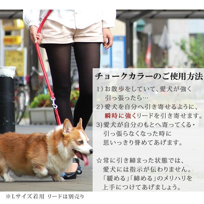 犬 首輪 革 レザー ASHU ソフトレザー チョークカラー Lサイズ 中型犬 大型犬 チョーク | ASHU | 05