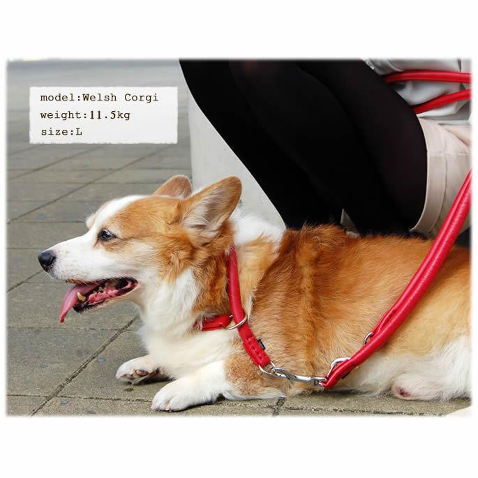 犬 首輪 革 レザー ASHU ソフトレザー チョークカラー Lサイズ 中型犬 大型犬 チョーク | ASHU | 08