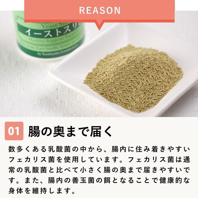 犬 ペット 用 乳酸菌 サプリ お腹 腸内 健康維持 国産 お手軽 栄養補助 フードに掛けるだけ イーストスリム 2個セット 栄養補助 | 帝塚山ハウンドカム | 03