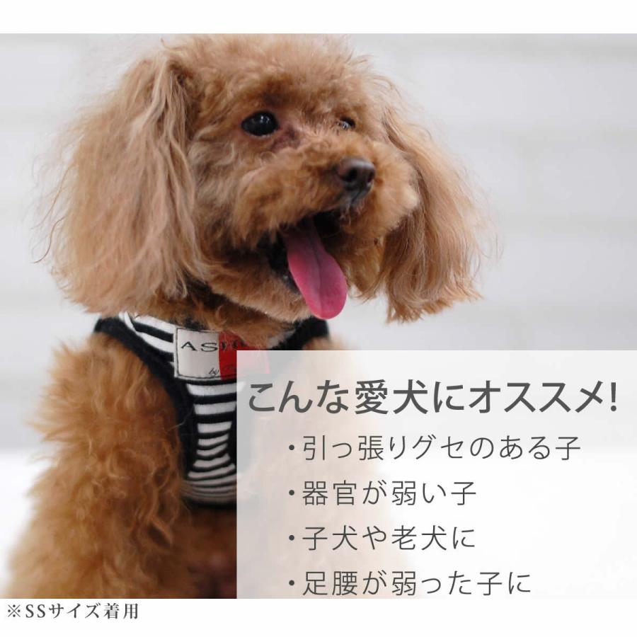ASHU 犬 ハーネス ウェアハーネス ボーダー Sサイズ : 安心
