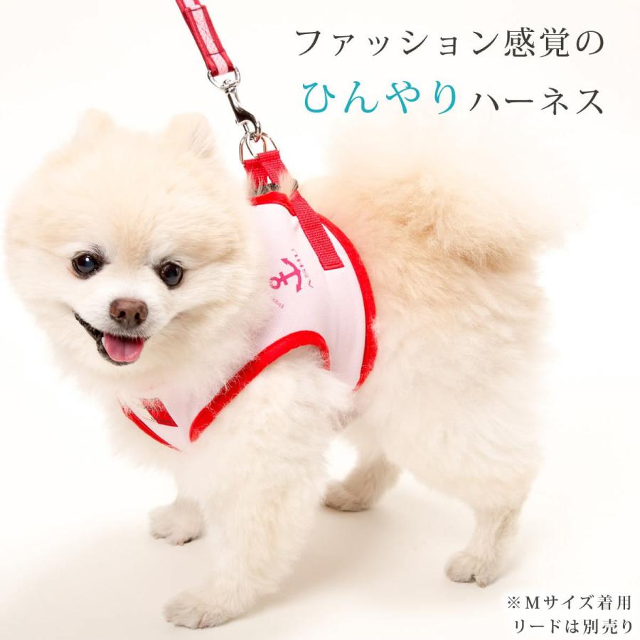 犬 ハーネス Ashu クールウェアハーネス Mサイズ T 0001 犬手作りごはん帝塚山ハウンドカム 通販 Yahoo ショッピング