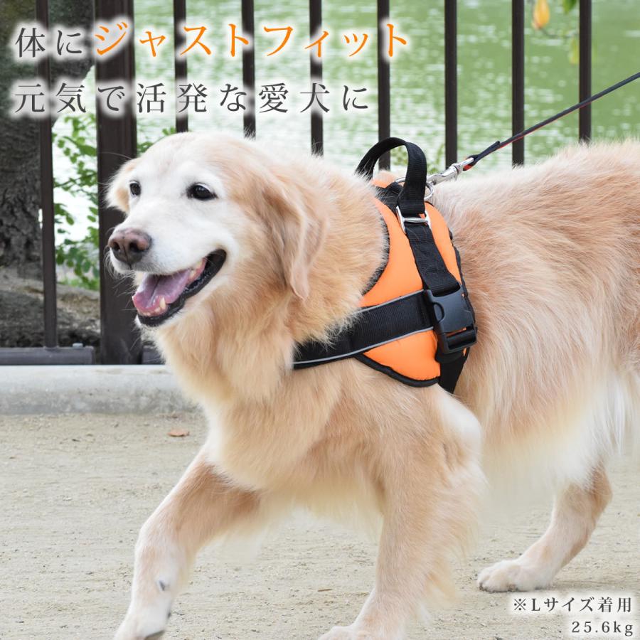中 大型犬用ハーネス 首に優しいクッションハーネス サイズl T 犬デンタルケア帝塚山ハウンドカム 通販 Yahoo ショッピング
