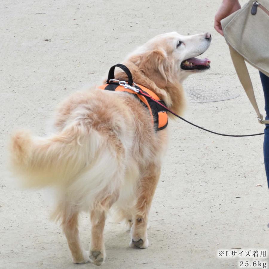 大型犬用ハーネス 首に優しいクッションハーネス サイズxl T 犬デンタルケア帝塚山ハウンドカム 通販 Yahoo ショッピング