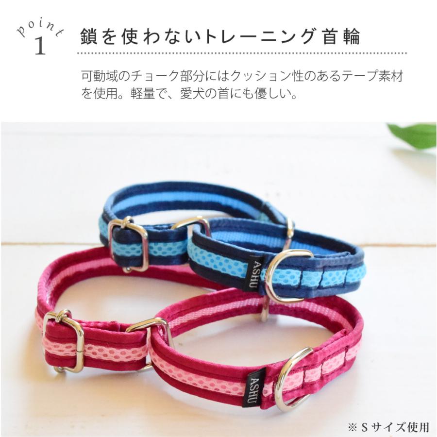 ASHU チェーンレス ハーフチョーク /プレミアカラー Mサイズ 中型犬用