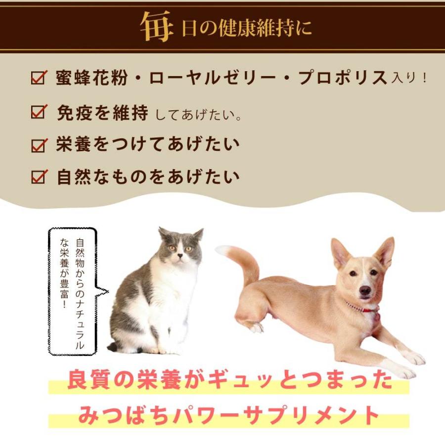 犬 ペット 用 サプリメント 栄養豊富 蜂蜜 花粉 ローヤルゼリー プロポリス 老犬 シニア犬 全犬種 成犬 みつばちパワー元気 300g | 帝塚山ハウンドカム | 01