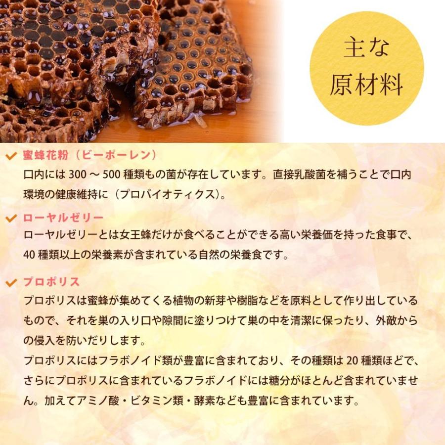 犬 ペット 用 サプリメント 栄養豊富 蜂蜜 花粉 ローヤルゼリー プロポリス 老犬 シニア犬 全犬種 成犬 みつばちパワー元気 300g | 帝塚山ハウンドカム | 05