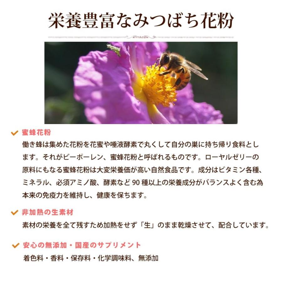 栄養豊富 蜂蜜 花粉 ローヤルゼリー プロポリス 老犬 シニア犬 全犬種 成犬 みつばちパワー元気 150g | 帝塚山ハウンドカム | 02