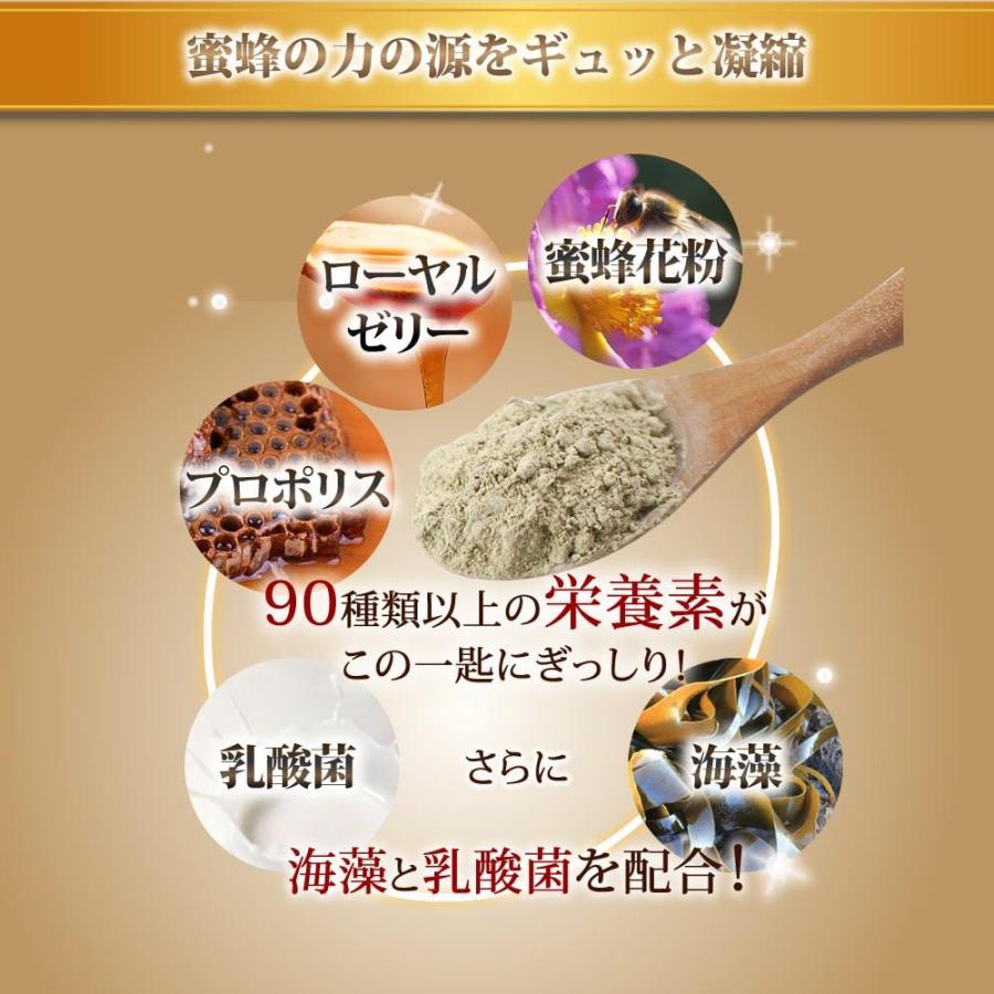 栄養豊富 蜂蜜 花粉 ローヤルゼリー プロポリス 老犬 シニア犬 全犬種 成犬 みつばちパワー元気 150g | 帝塚山ハウンドカム | 04