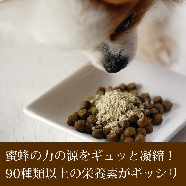 犬用 サプリメント みつばちパワー元気 150g 老犬 シニア犬 T c 犬デンタルケア帝塚山ハウンドカム 通販 Yahoo ショッピング