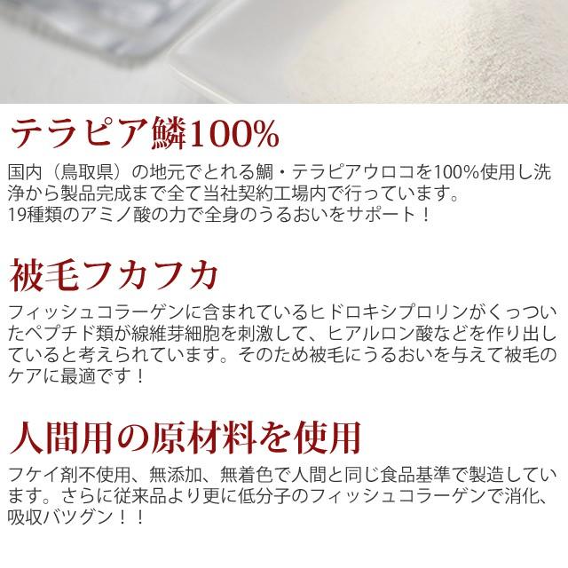 犬 関節 にフィッシュコラーゲン 0g 犬 サプリメント T 犬手作りごはん帝塚山ハウンドカム 通販 Yahoo ショッピング
