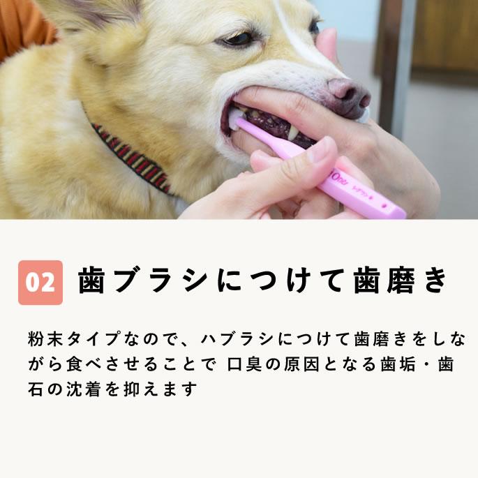 帝塚山ハウンドカム 犬 サプリメント 口臭 お口ピカピカ デンタル