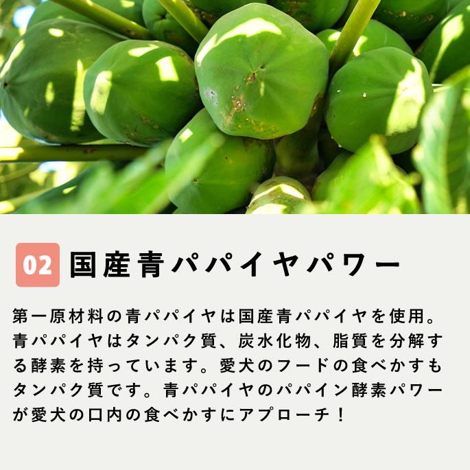 帝塚山ハウンドカム 犬 サプリメント 口臭 お口ピカピカ デンタル