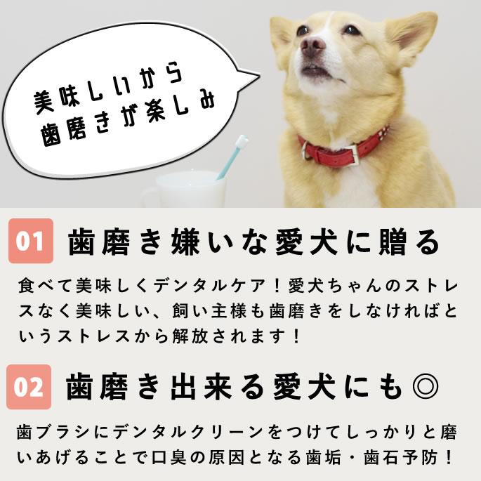 犬 猫 ペット 用 口内ケア 口臭 チーズ味 お口ピカピカ デンタル