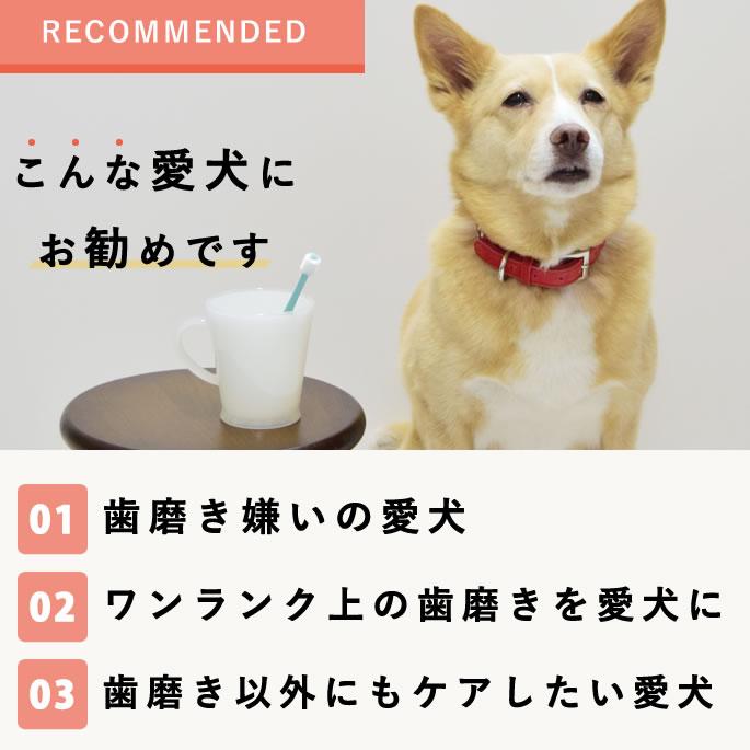 No.1162 アロマストーン✩.*˚イニシャルベアセット(A) Oya Aroma Stone