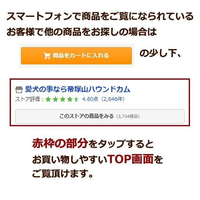 腎臓サポート サプリメント 腎パワー元気犬用 90ｇ A0298 T 犬デンタルケア帝塚山ハウンドカム 通販 Yahoo ショッピング