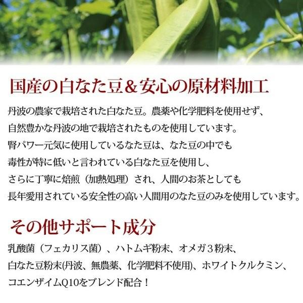 腎臓サポート サプリメント 腎パワー元気犬用 90ｇ A0298 T 犬デンタルケア帝塚山ハウンドカム 通販 Yahoo ショッピング
