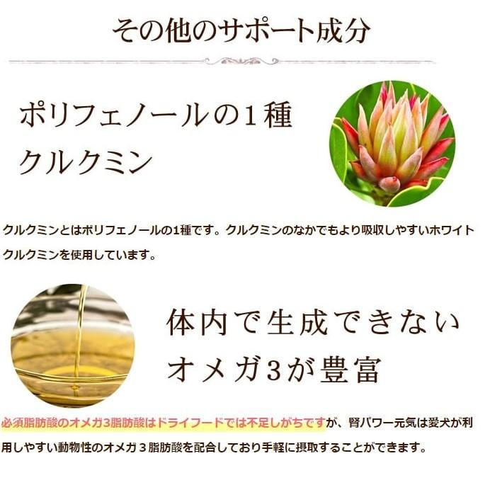 腎臓サポート サプリメント 腎パワー元気犬用 90ｇ A0298 T 犬手作りごはん帝塚山ハウンドカム 通販 Yahoo ショッピング