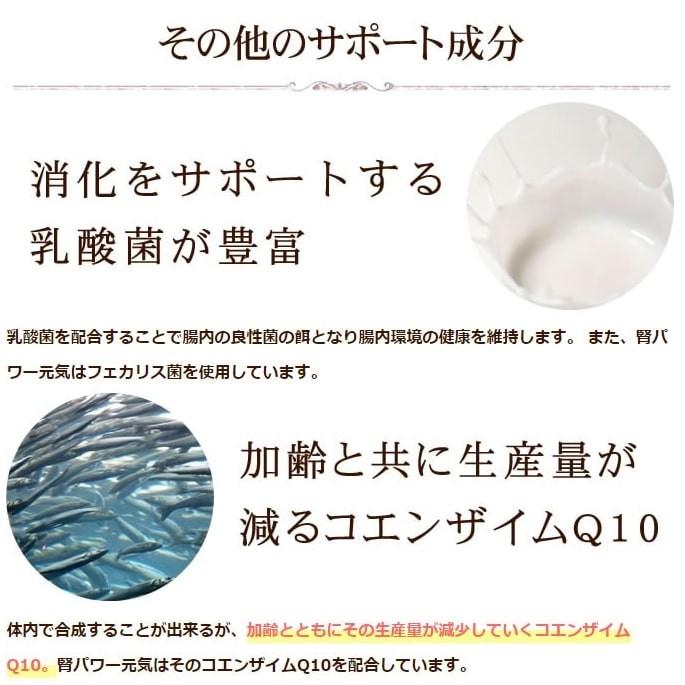 腎臓サポート サプリメント 腎パワー元気犬用 90ｇ A0298 T 犬手作りごはん帝塚山ハウンドカム 通販 Yahoo ショッピング