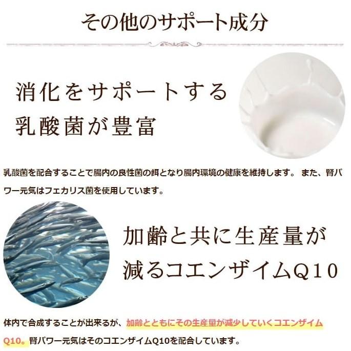 犬 腎臓サポート サプリメント|腎パワー元気犬用 200g【a0298】 :t-090772:犬手作りごはん帝塚山ハウンドカム - 通販 - Yahoo!ショッピング 犬 腎臓サポート サプリメント|腎パワー元気犬用 200g【a0298】 :t-090772:犬手作りごはん帝塚山ハウンドカム - 通販 - Yahoo!ショッピング