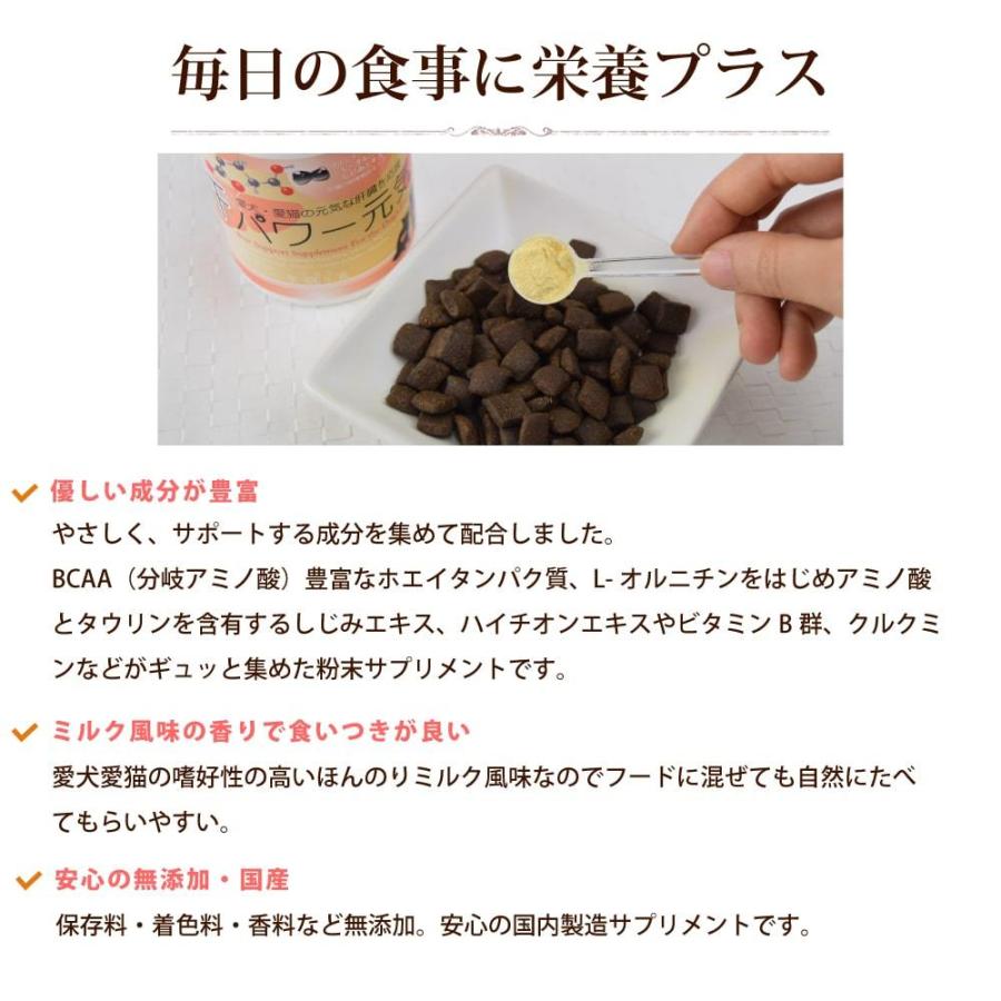 肝臓の健康維持サプリメント 肝パワー元気 犬猫用 0g A0297 T 犬手作りごはん帝塚山ハウンドカム 通販 Yahoo ショッピング