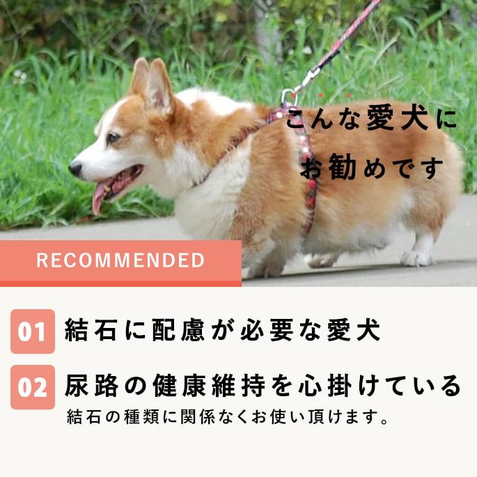 帝塚山ハウンドカム 尿路元気 犬猫用サプリメント 200g 尿路結石