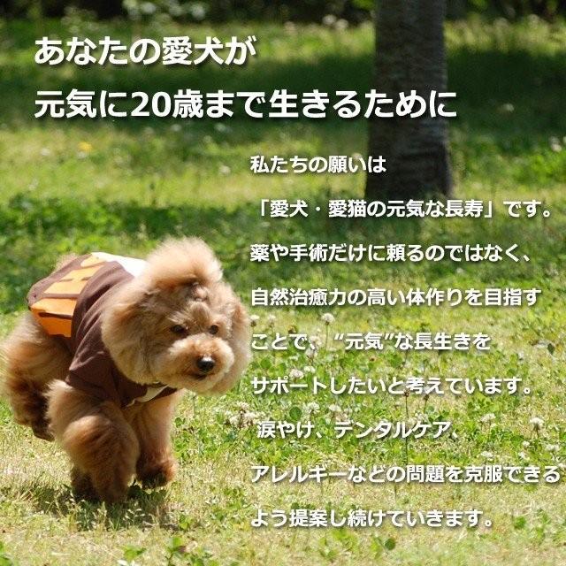 尿路元気 犬猫用サプリメント 200g  尿路結石｜houndcom｜14