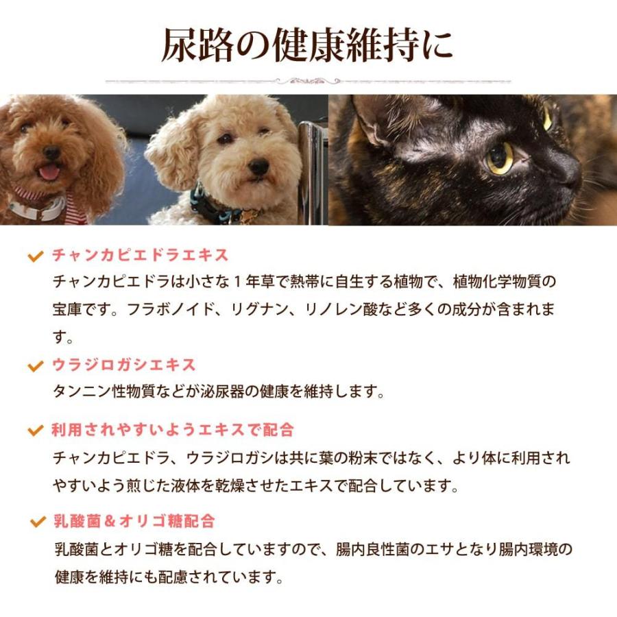 尿路元気 犬猫用サプリメント 200g  尿路結石｜houndcom｜03