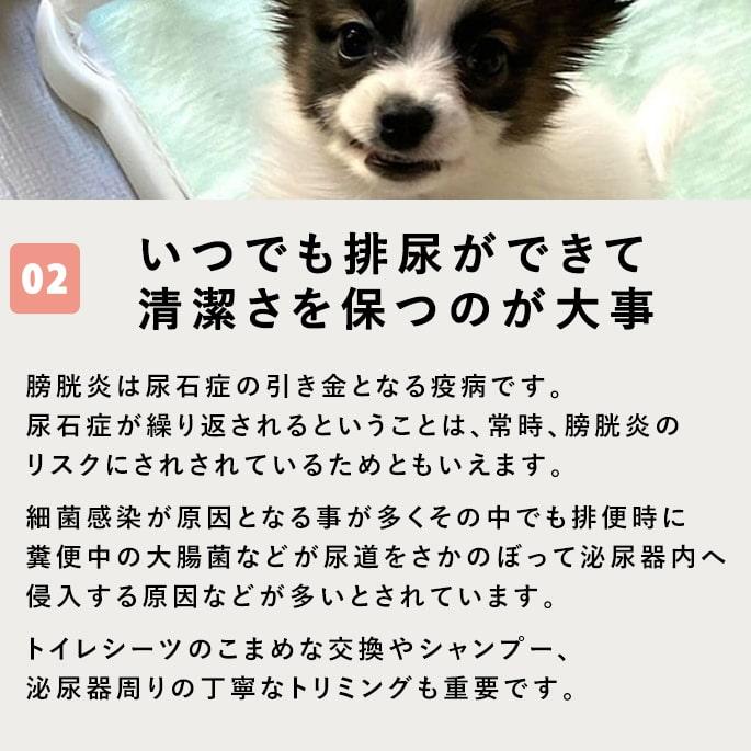 帝塚山ハウンドカム 尿路元気 犬猫用サプリメント 200g 尿路結石