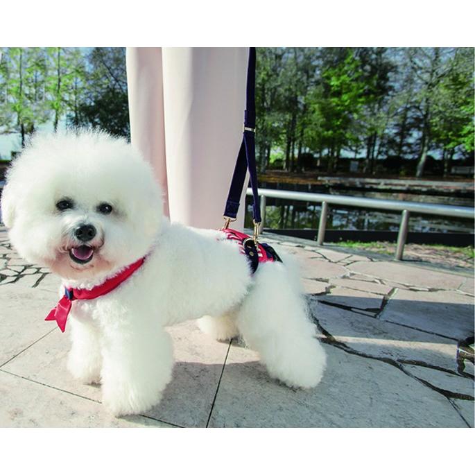 介護用歩行補助ハーネス LaLaWalk　ホールド　小型犬　後足サポート | LaLaWalk（TOMBOW） | 16