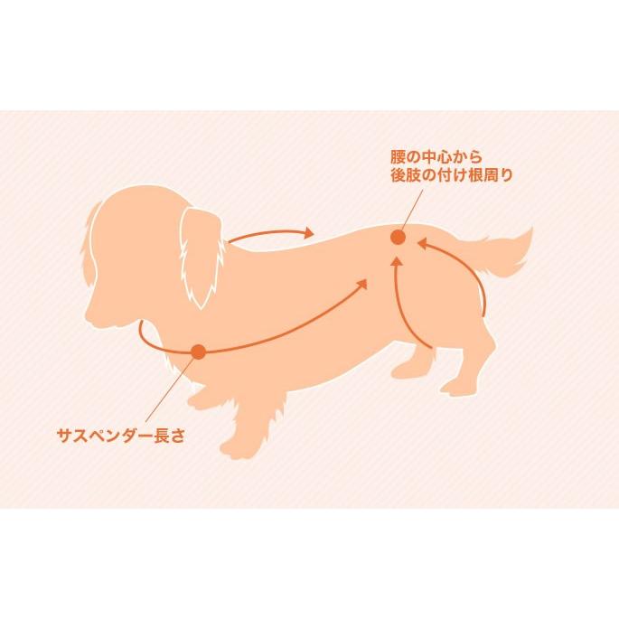 介護用歩行補助ハーネス LaLaWalk　ホールド　小型犬　後足サポート | LaLaWalk（TOMBOW） | 12