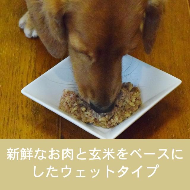 テラカニス　クラシック　ビーフとキャロットアップル&玄米 400g | hLam | 01