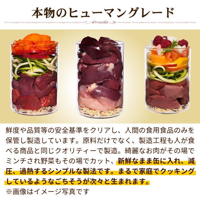 テラカニス　クラシック　ビーフとキャロットアップル&玄米 400g | hLam | 02