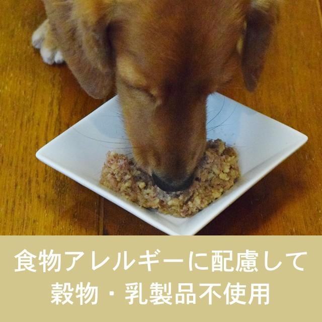 テラカニス　グレインフリー　チキンとパースニップダンデライオン&カモミール 400g 12缶セット　送料無料　おまけつき | hLam | 01