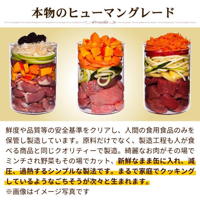 テラカニス　グレインフリー　チキンとパースニップダンデライオン&カモミール 400g 12缶セット　送料無料　おまけつき | hLam | 02