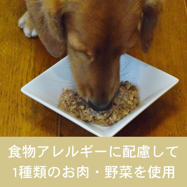テラカニス　ハイポ　オーストリッチとパースニップ　グレインフリー 400g 12缶セット　　送料無料　おまけつき | hLam | 01