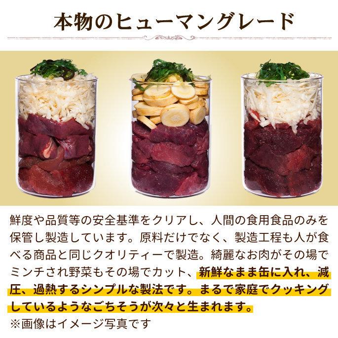 テラカニス　ハイポ　オーストリッチとパースニップ　グレインフリー 400g 12缶セット　　送料無料　おまけつき | hLam | 02