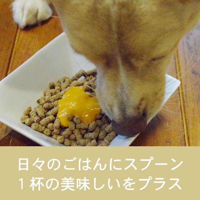 お取り寄せ お届けまで1週間程度 テラカニス ペーストサプリ ゴールデンペースト 250ml | hLam | 01