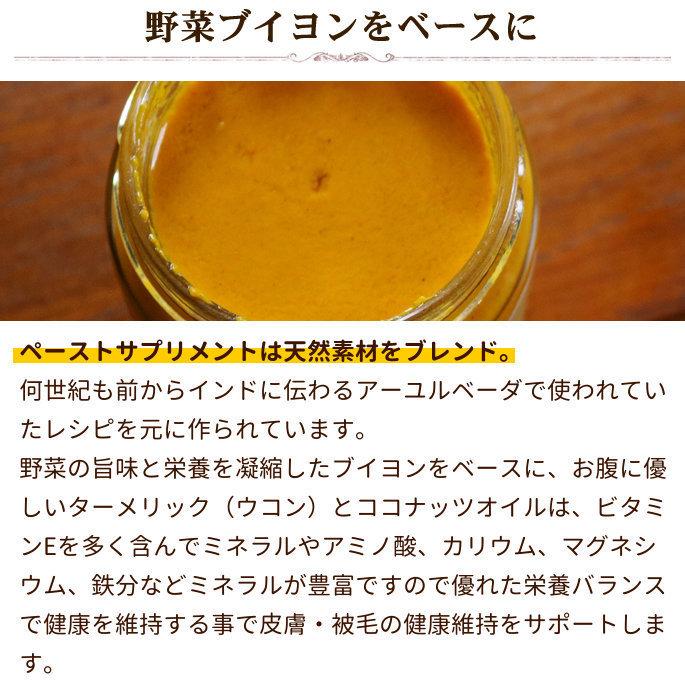 お取り寄せ お届けまで1週間程度 テラカニス ペーストサプリ ゴールデンペースト 250ml | hLam | 04