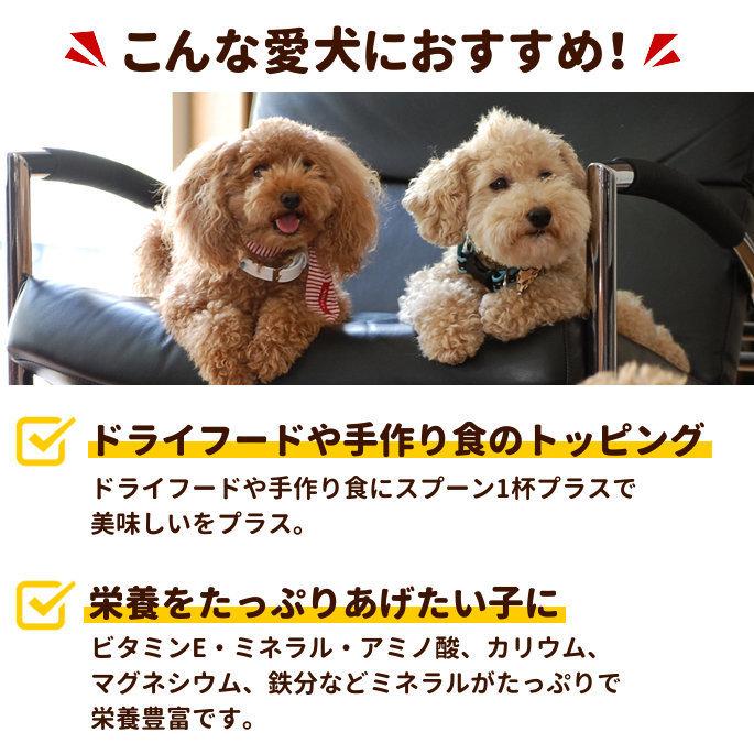 お取り寄せ お届けまで1週間程度 テラカニス ペーストサプリ ゴールデンペースト 250ml | hLam | 05
