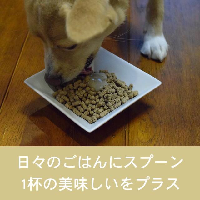 お取り寄せ お届けまで1週間程度 テラカニス ペーストサプリ ジョイントペースト 250ml | hLam | 01