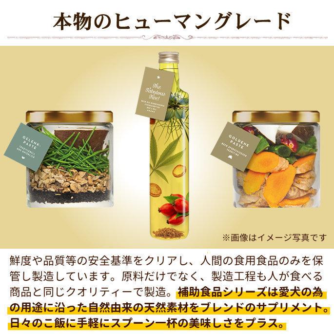 お取り寄せ お届けまで1週間程度 テラカニス ペーストサプリ ジョイントペースト 250ml | hLam | 02
