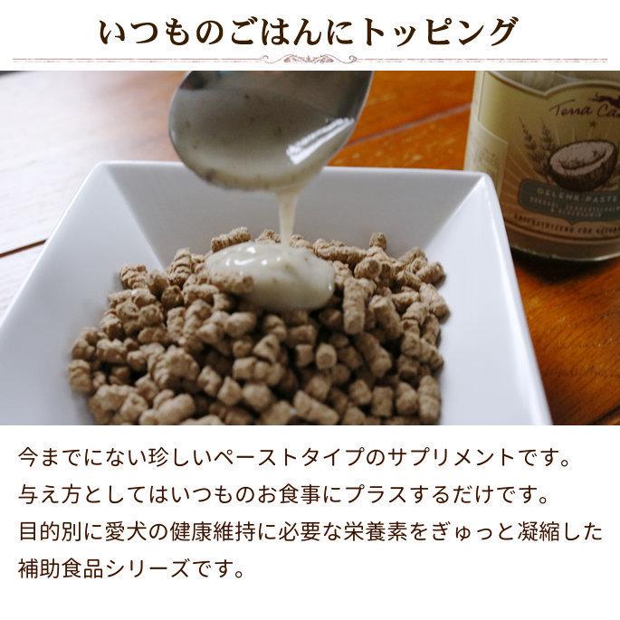 お取り寄せ お届けまで1週間程度 テラカニス ペーストサプリ ジョイントペースト 250ml | hLam | 03