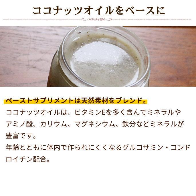 お取り寄せ お届けまで1週間程度 テラカニス ペーストサプリ ジョイントペースト 250ml | hLam | 04