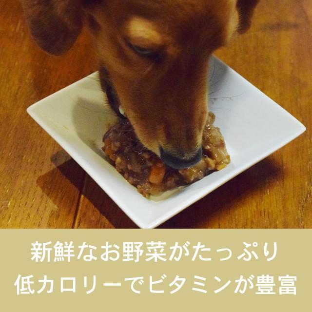 テラカニス ガーデンベジタブル レッドフルーツ&ベジタブル 400g 6缶セット 送料無料 低脂肪 | hLam | 01