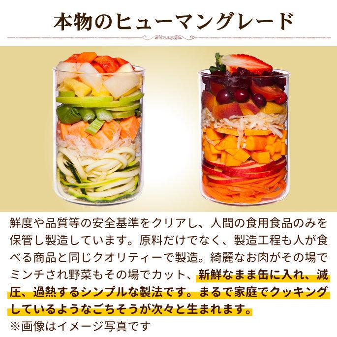 テラカニス ガーデンベジタブル レッドフルーツ&ベジタブル 400g 6缶セット 送料無料 低脂肪 | hLam | 02