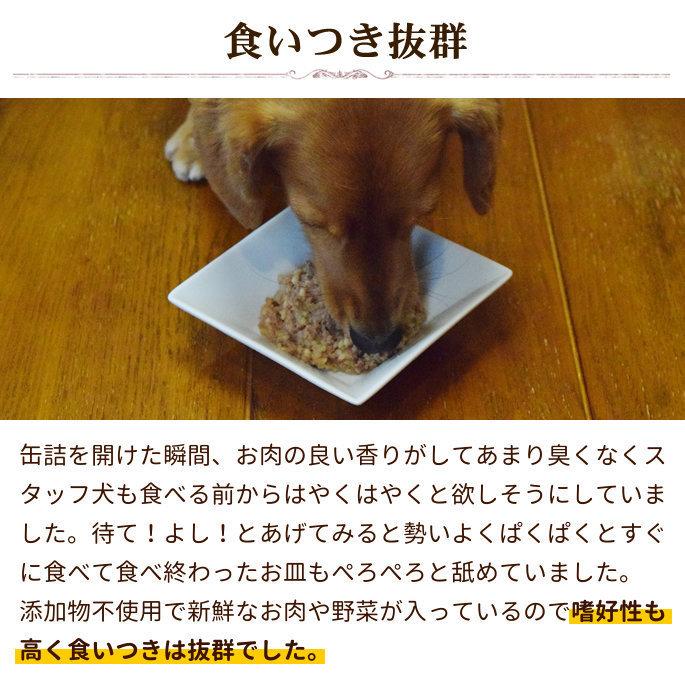 Wellness ウェルネスヘルシーバランス 1歳以上 6kg E1 チキン ドッグフード ドライフード 乳酸菌 動物性たんぱく質 小型犬成犬用 自然素材 最大95 オフ 小型犬成犬用